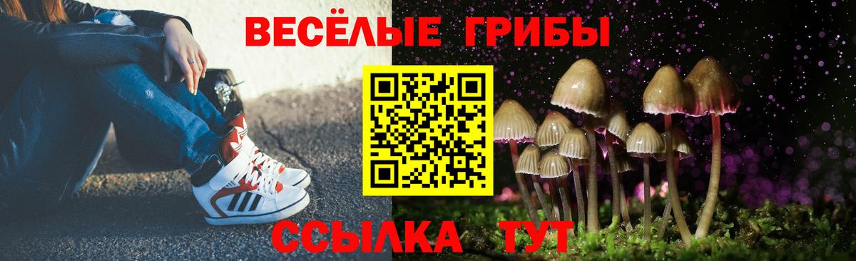 Псилоцибиновые грибы Psilocybine cubensis  Псилоцибиновые грибы Psilocybe  Ноябрьск  Вход с VPN 